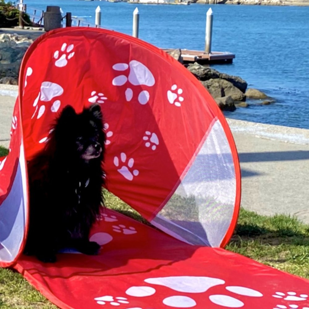 Dog Shade Travel Tents in Red
